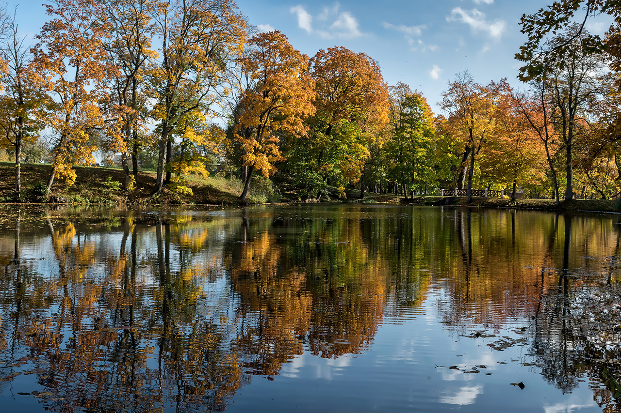 autumn landscape image